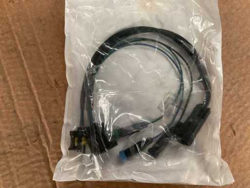 Cablaggio ramificato