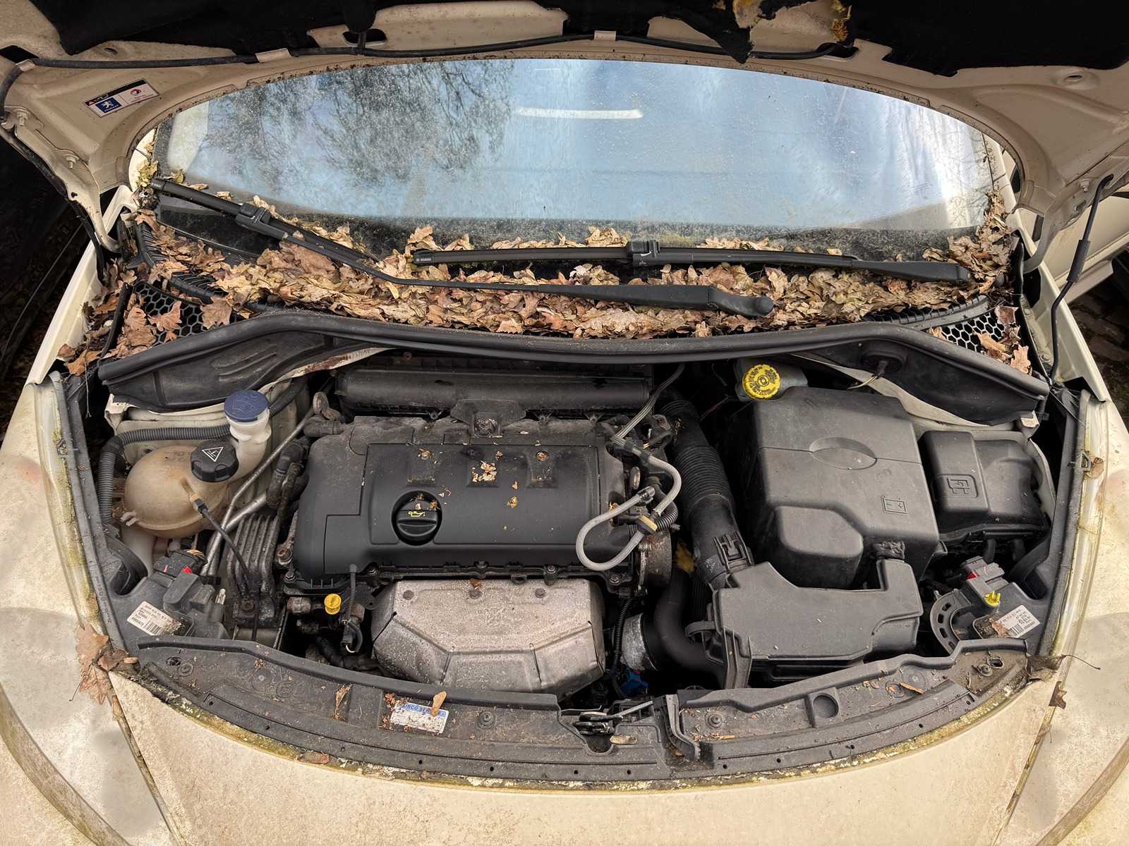 Peugeot 207 SW Outdoor 1.6 VTi XS 120pk 2008 -Orig. NL-, 80-GKT-1