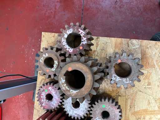 Various sizes of pinions