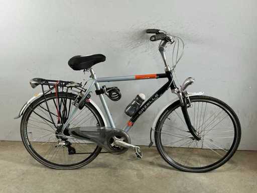 Damenradrennen