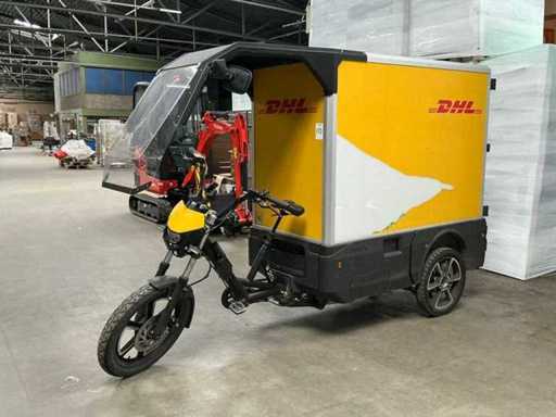 Fulpra 3000L vélo cargo à batterie simple Vélo de transport électrique