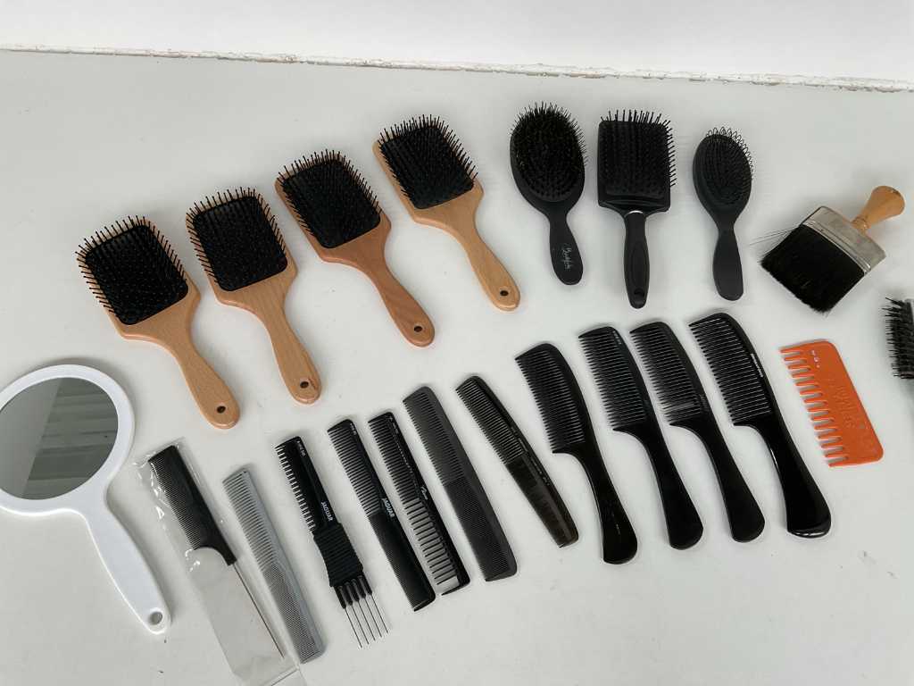Hairbrushes and combs