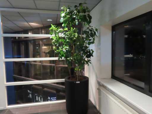 Fiori - Kunstplant in pot