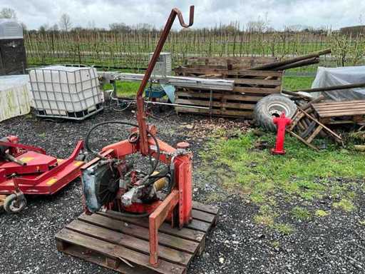 Erba per erba a doppia faccia Humus