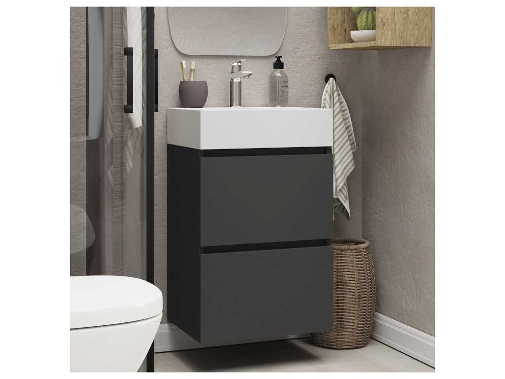 WB Xellanz - 38.4303 - Mini base cabinet with 2 drawers and washbasin.