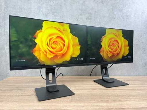2x IIyama Prolite - 24" monitor op voet - HDMI, DP, VGA