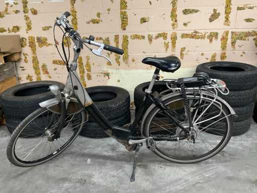Batavia Padova Easy Elektrische damesfiets