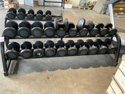 Technogym ganteră 18 până la 36kg 2x 26kg Central Electrică