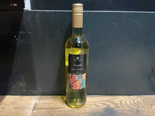 Anno Domini - 2021 - Fiano - Witte wijn (8x)