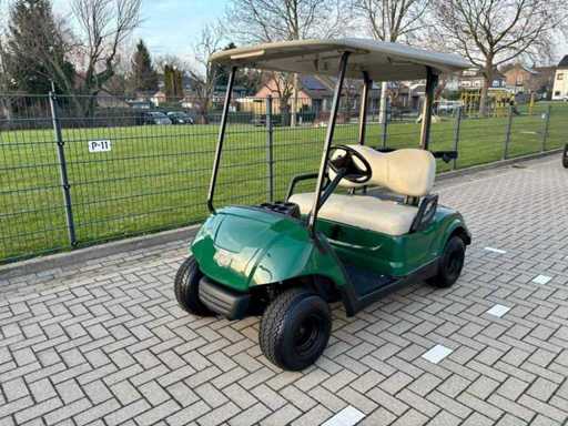 2010 Yamaha G29 Golfkar