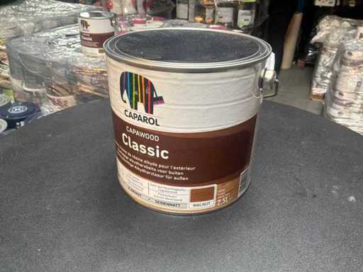 Caparol Paint (2x)
