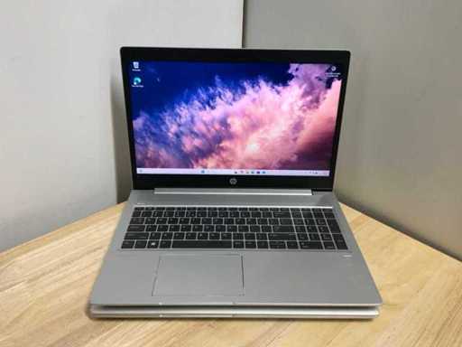 Ordinateur portable HP ProBook 450 G7 (2x)