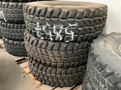 Trupa de Anul Bun (3x)