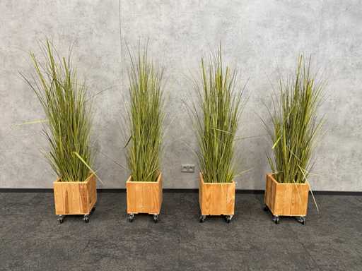 4x verrijdbaar kunstriet met pot H170