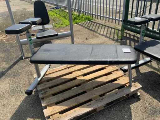 Gym80 Signum abdominal bench Krachtstation