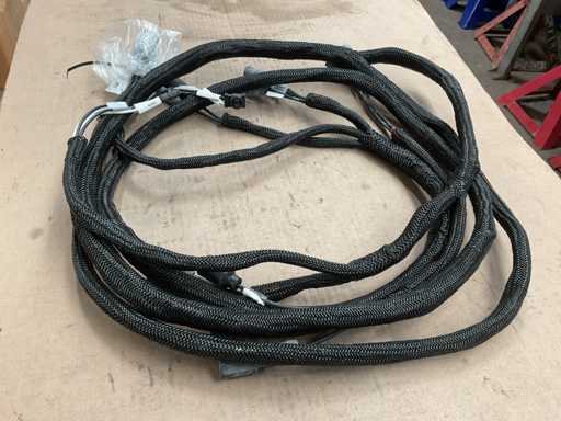 Wiring harness (13x)
