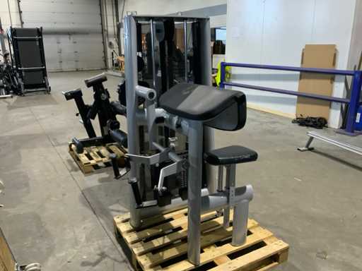 Gym 80 signum bicepscurl Krachtstation