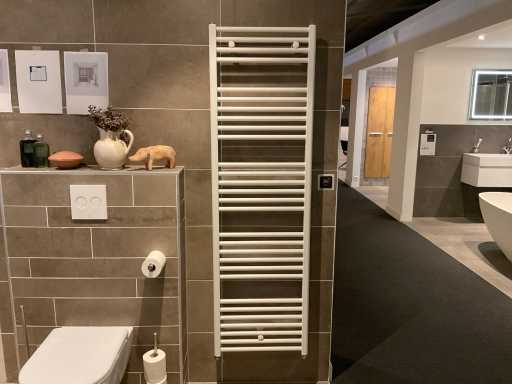 Design-Radiator 50 x 170 cm