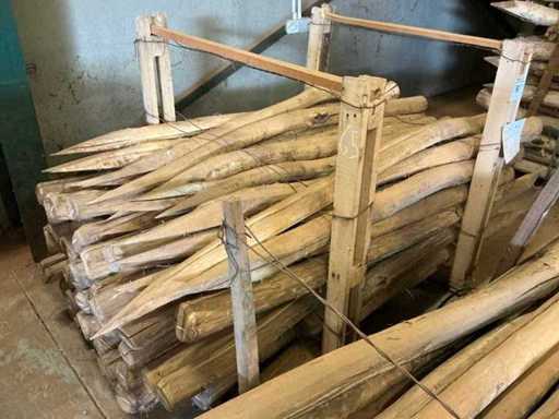 Robinia paal (65x)