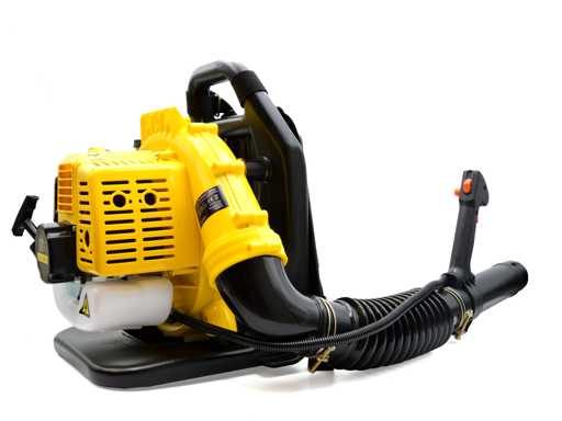 Gasoline leaf blower 