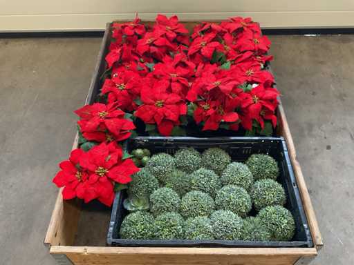 Partia sztucznych ro?lin