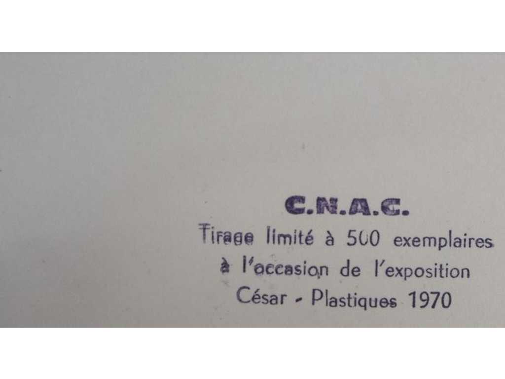 César (1921-1998), Plis plastiques, 1970