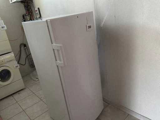 Gorenje ZOS2467 Frozen