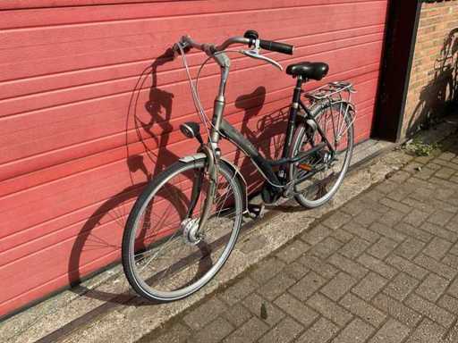 Vélo des parcs Batavus Green