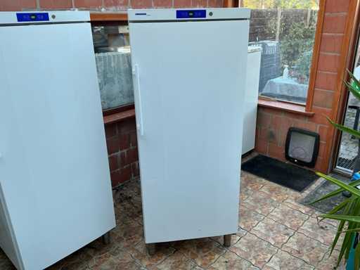 Liebherr GG5210 Vriezer