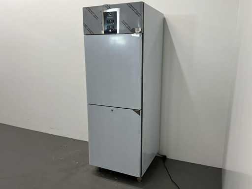 Electrolux - ERX72HDDC - Combinație frigider-congelator (2024)
