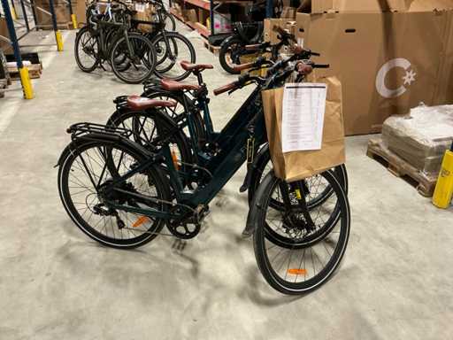 Fiido C11 Elektrische fiets (3x)