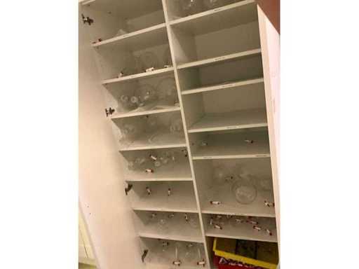 O mulțime de diverse tipuri de sticlărie