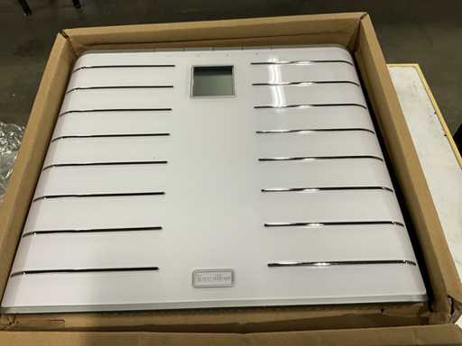 Terraillon Scale (3x)