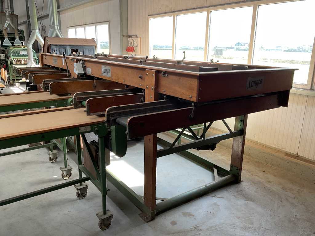 Langco - DR6 EB7 - Bulb double sorting machine
