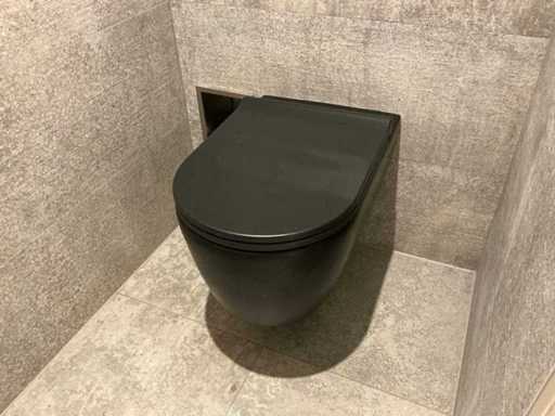 Toilettes murales