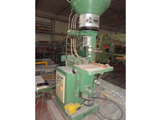 ESSEPIGI - Spinatrice