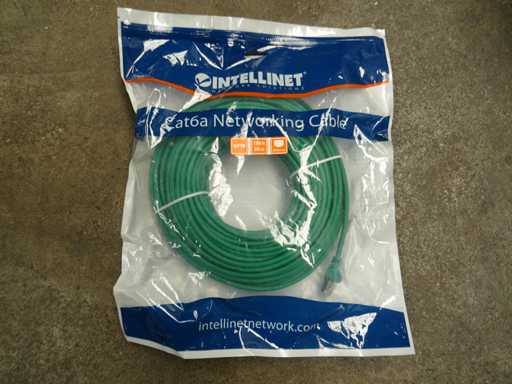 Intellinet - Cat6a - Netzwerkkabel 30 m (33x)