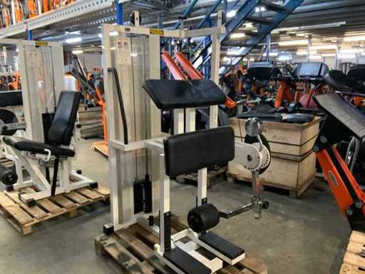 Technogym isotonic standing leg curl Krachtstation