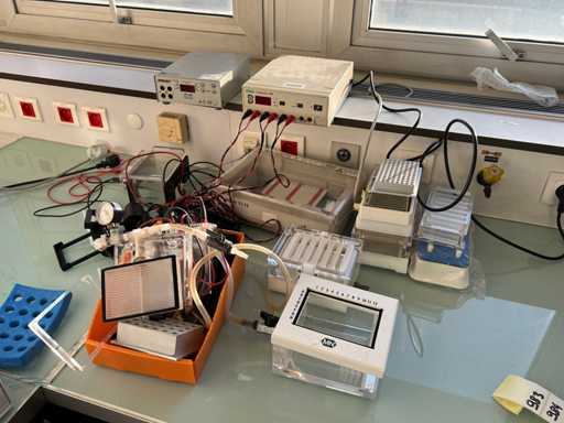 Sistema di elettroforesi