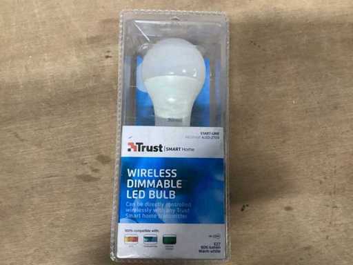 Ampoule LED Trust ALED-2709 (25x)