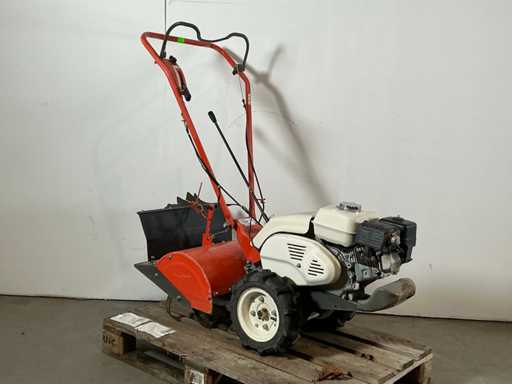 Herkules / Orec SF600D Tiller 2020 6 ch essence