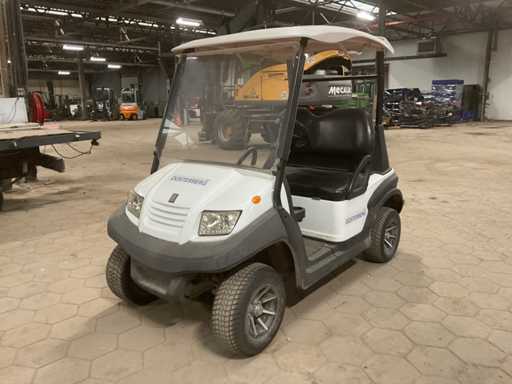 2019 Bensel cars BSN2 Golfkar