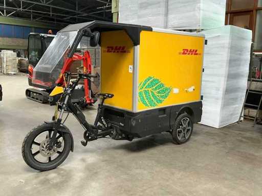 Fulpra 3000L vélo cargo à double batterie Vélo de transport électrique