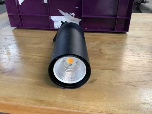 Stucchi - Par w centrum uwagi (65x)