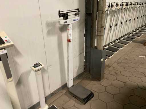 Măsurator de sănătate O Scale personală