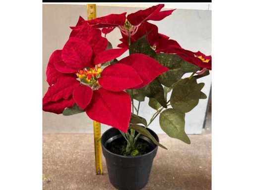 Set aus acht künstlichen Blumen, Pionsetta-Autor, 45 cm