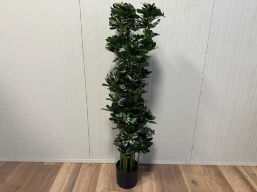 Drzewo Real touch Schefflera Roślina sztuczna (140 cm wysokości)
