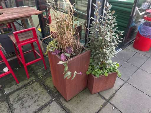 Plante métallique avec contenu (2x)