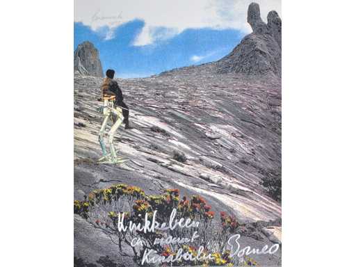 Panamarenko - jambe pliée - impression couleur avec impression intaglio