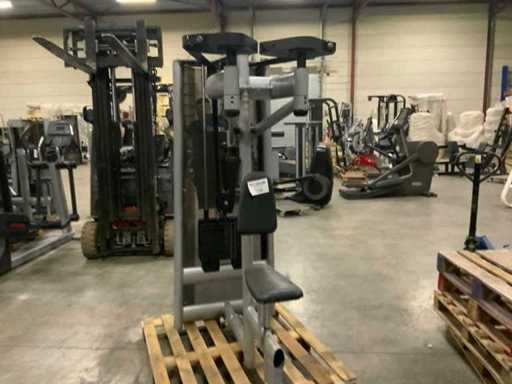 Gym80 Signum pec fly rear delt Krachtstation